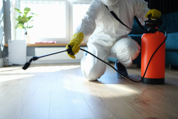 Reliable Hoarding Cleanup contractor in Charleston, AR by Trauma Clean Pros